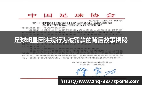 3377体育