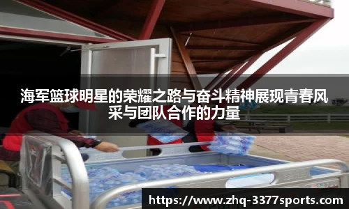 3377官网